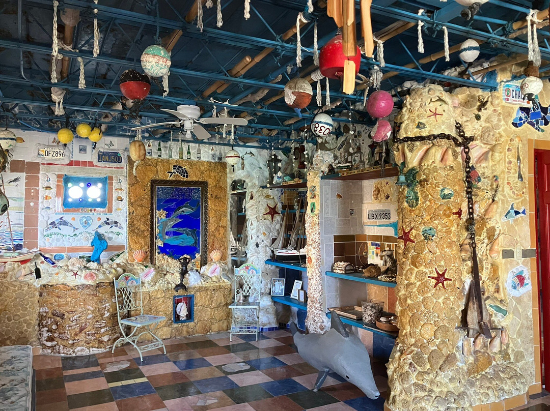 Dolphin House Museum-Alice Town必去景点