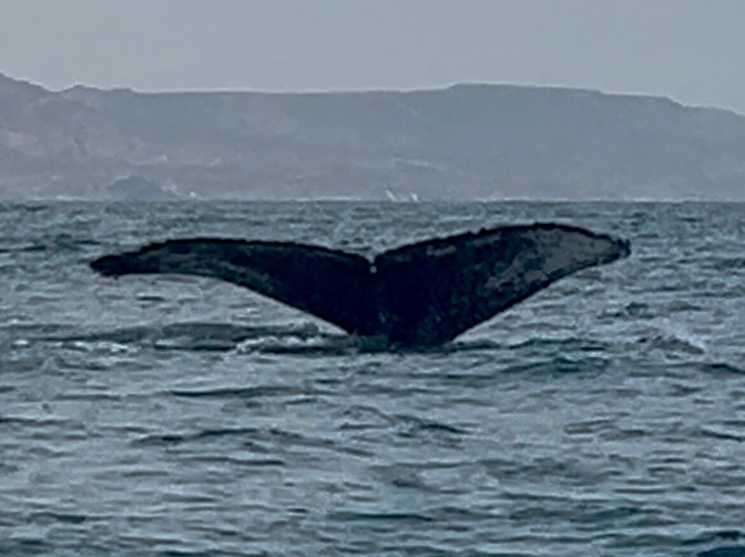 Alagua-Organos必去景点