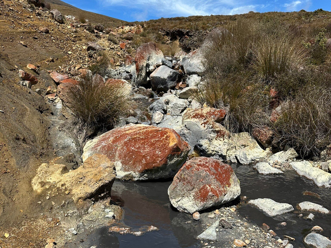 Summit Shuttles-汤加里罗国家公园必去景点