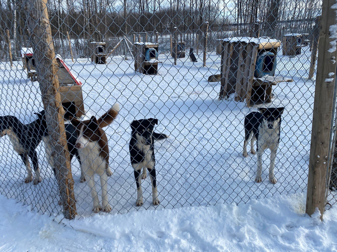 Passion Husky-李维斯必去景点