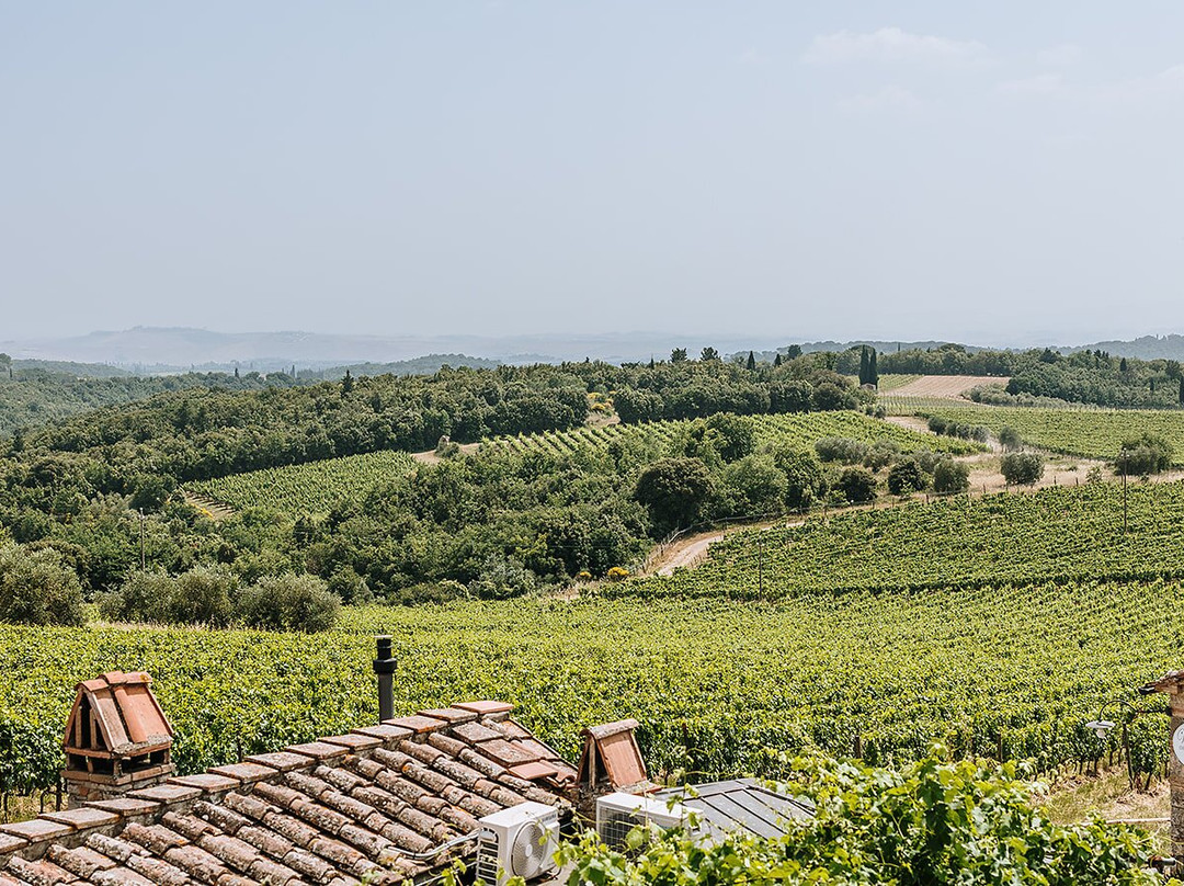 Villa di Sotto主图