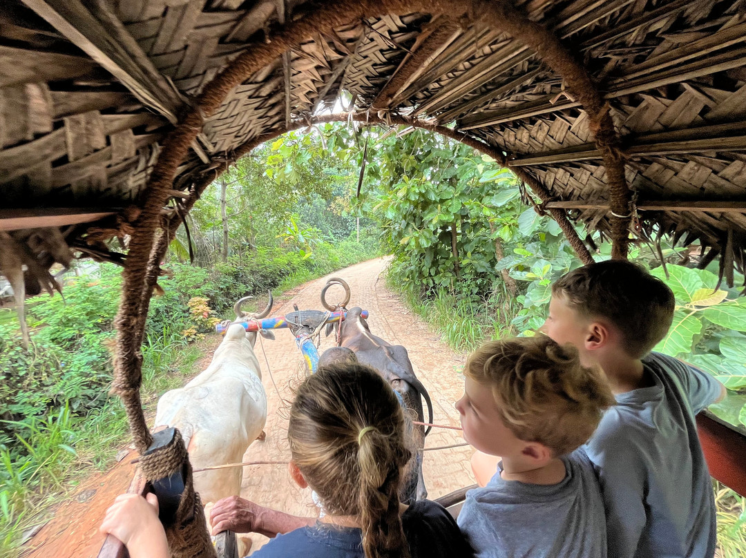 Absolute Lanka Tours-科伦坡必去景点