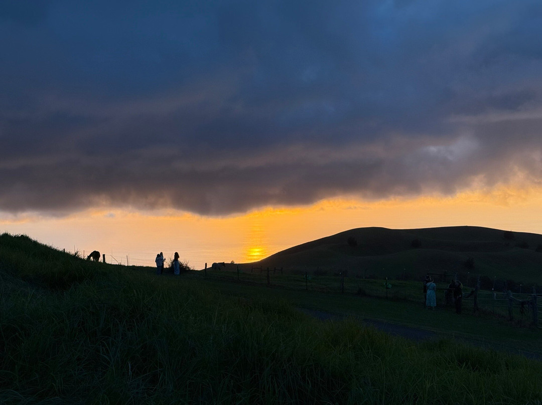 Paniolo Bbq Dinner-卡慕也拉必去景点