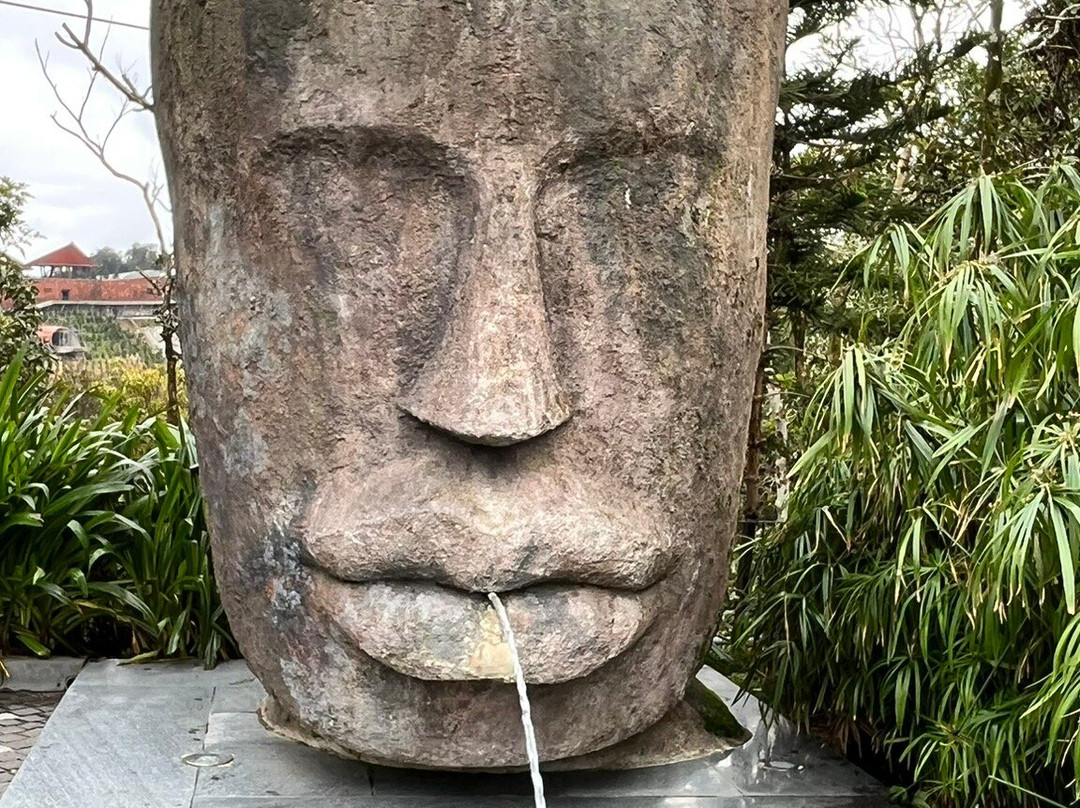 VM Travel Hoi An-会安必去景点