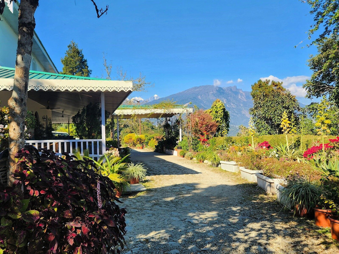 Eco Adventure Resorts the Temi Bungalow主图