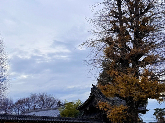 Kashiya Yokocho-川越市必去景点