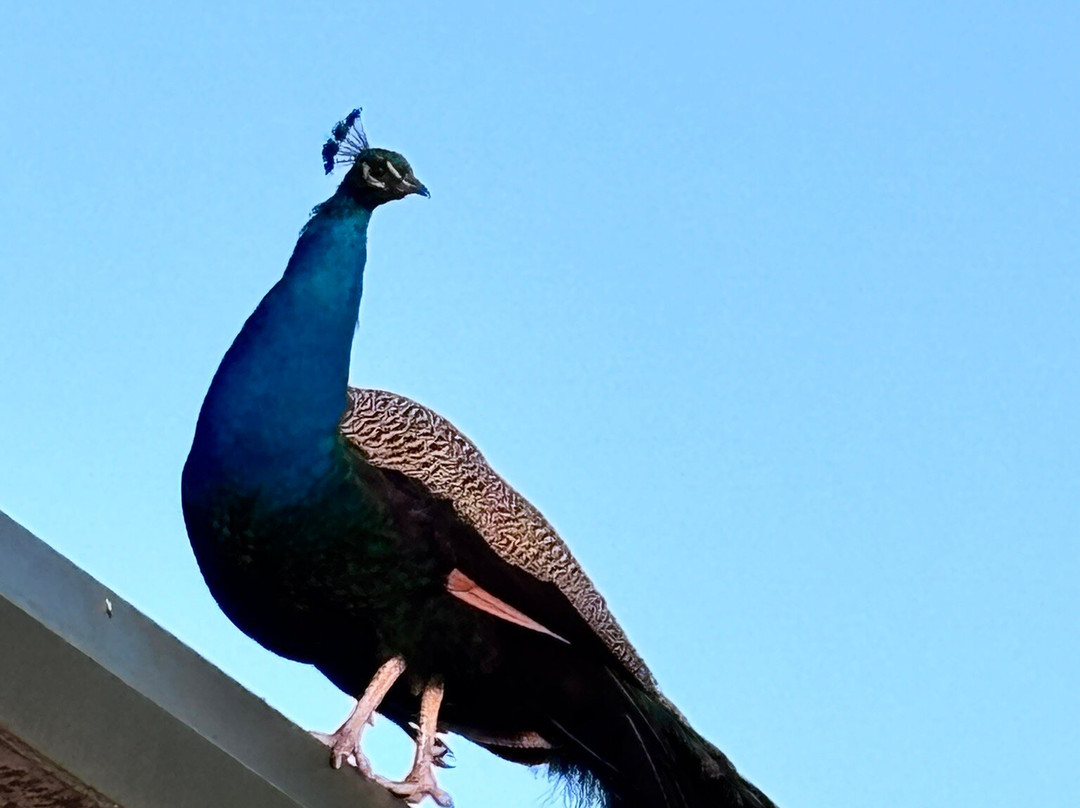 Westlands Country Park-Kirkpatrick Fleming必去景点