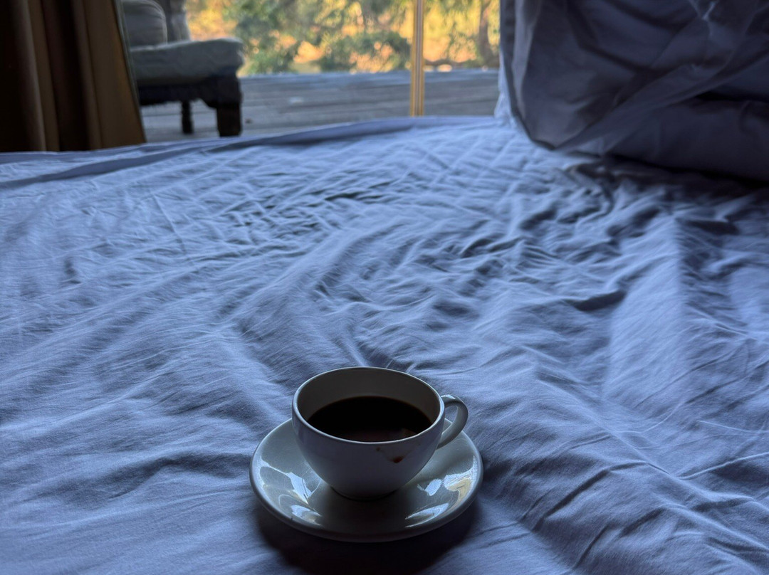 Banjaar Tola - A Taj Safari - Kanha National Park主图