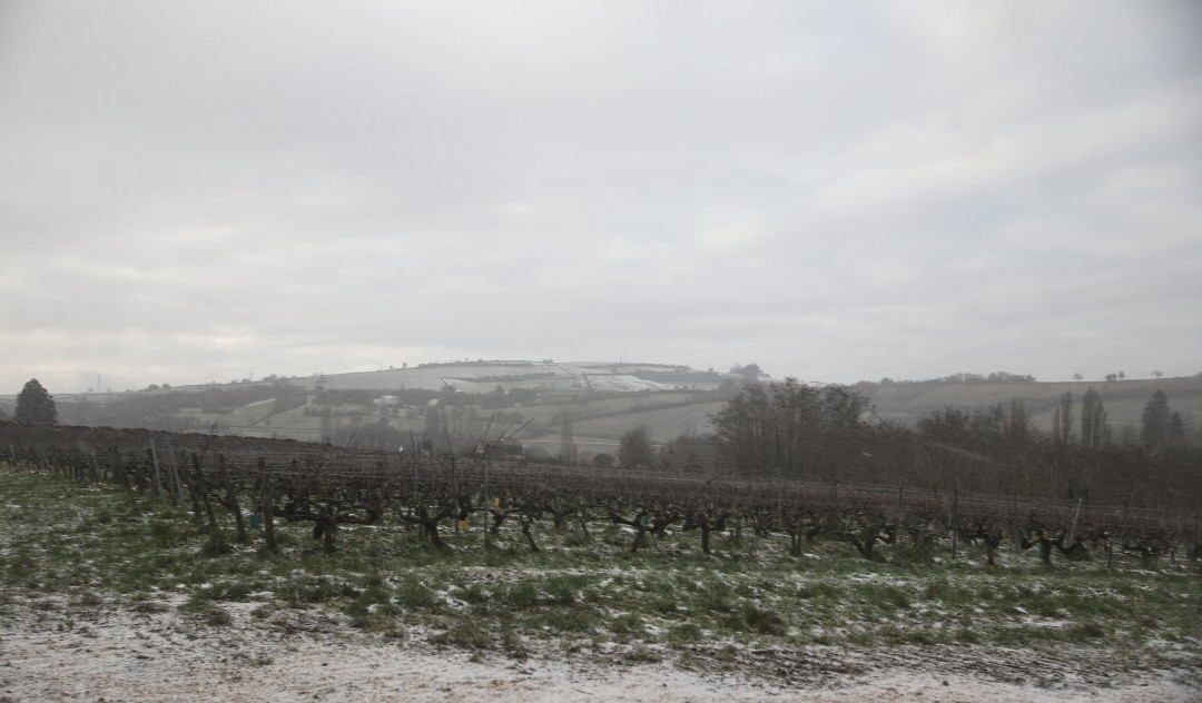 Château De Rougeon-Bissey-sous-Cruchaud必去景点