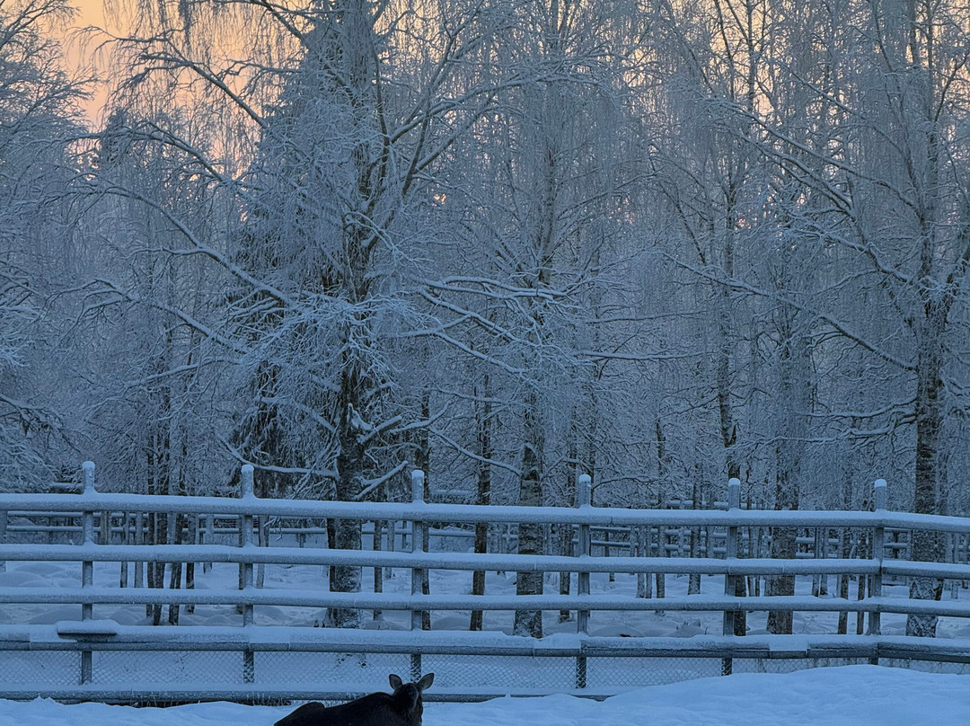 北极圈标线雪地公园-罗瓦涅米必去景点