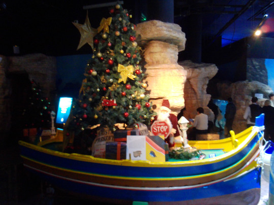 Malta National Aquarium-卡拉必去景点