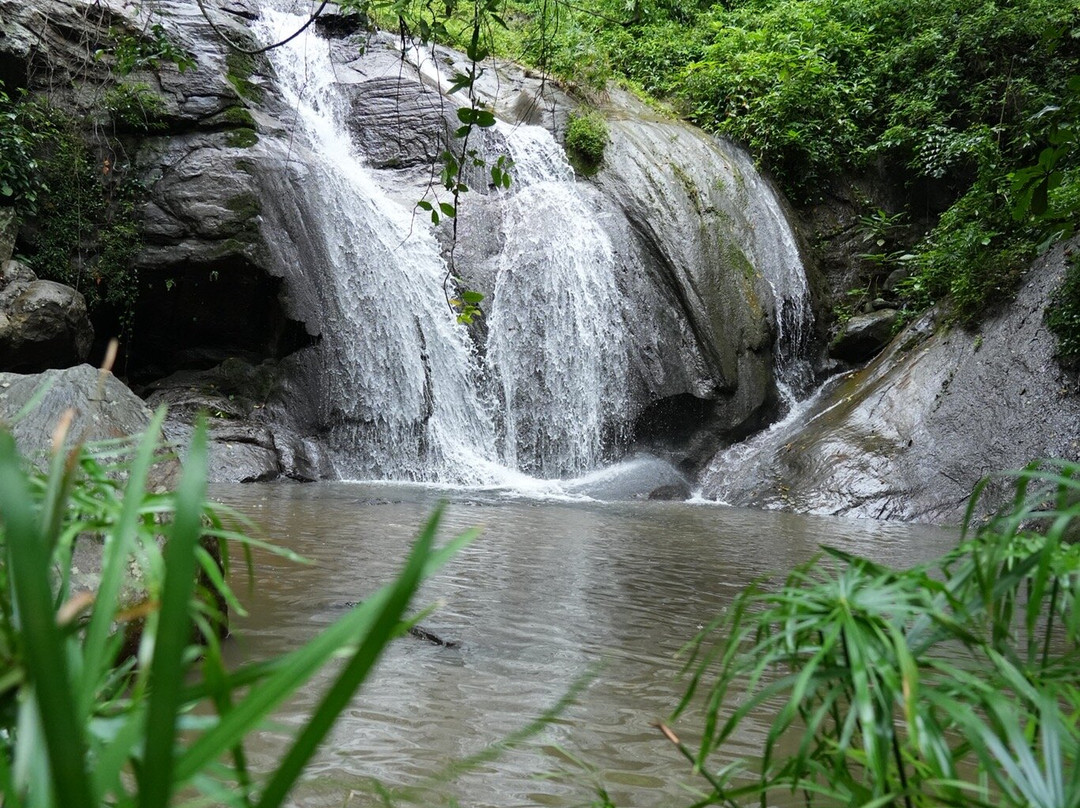 Trek Tropical Tours - Sri Lanka Tours & Travels-埃勒必去景点