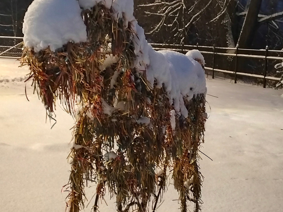 Museum of Coachman-Gavrilov-Yam必去景点