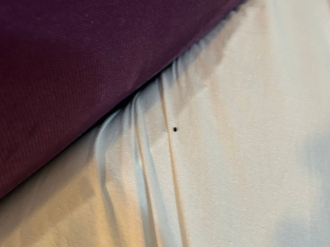 Hotel Metropole Residence主图