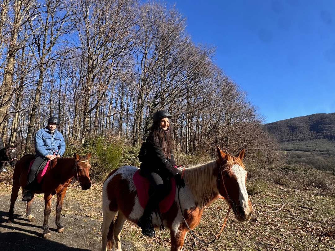 The Fairy Ranch-Rocca di Papa必去景点