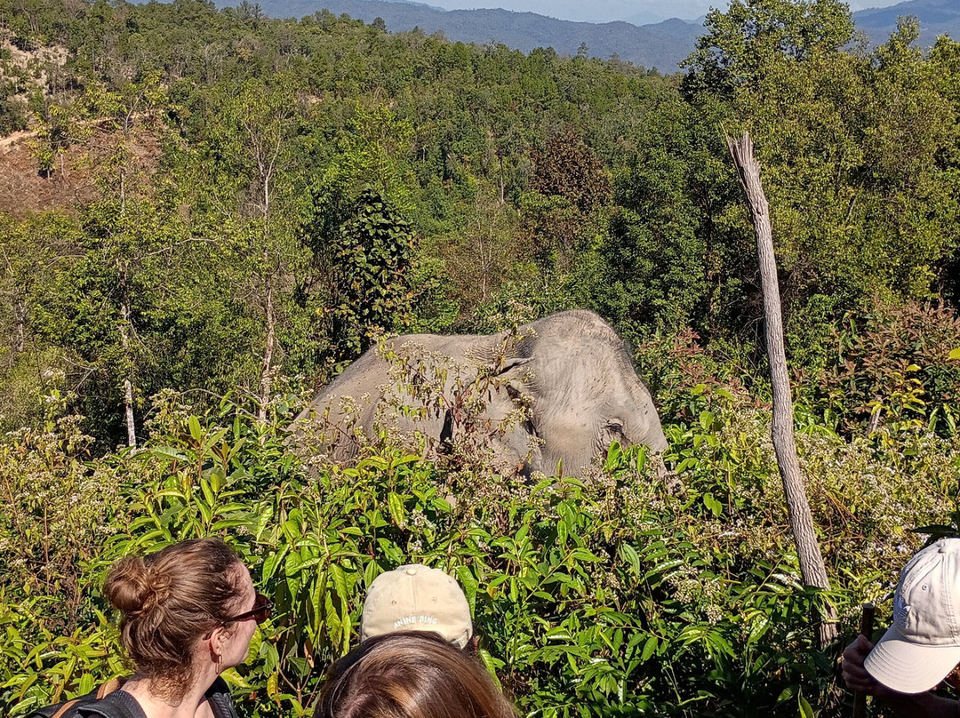 Chang Chill-Mae Win必去景点