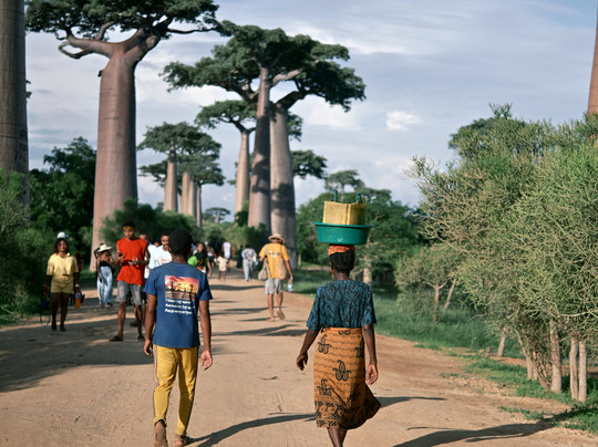 GMT+3 Great Madagascar Tours - Day Tours-安塔那那利佛必去景点