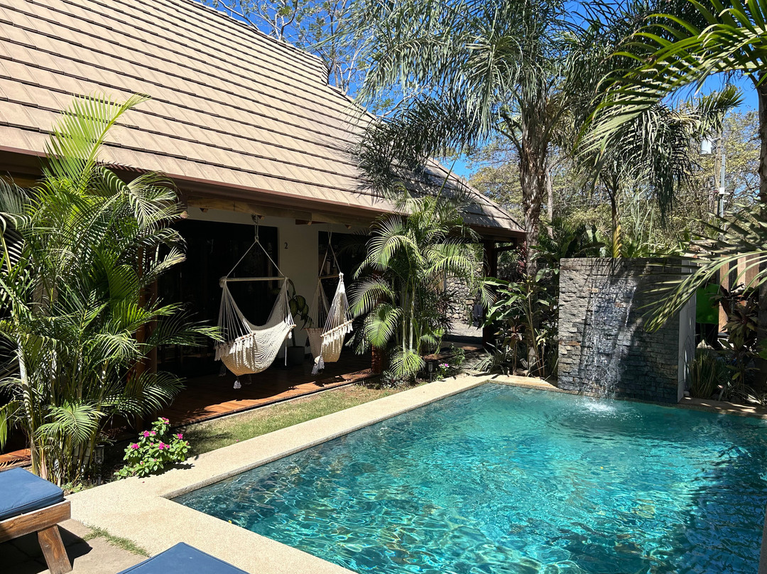 Villa Ave del Paraíso