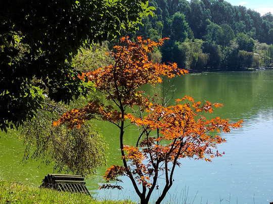Shekvetili Dendrological Park-Shekhvetili必去景点