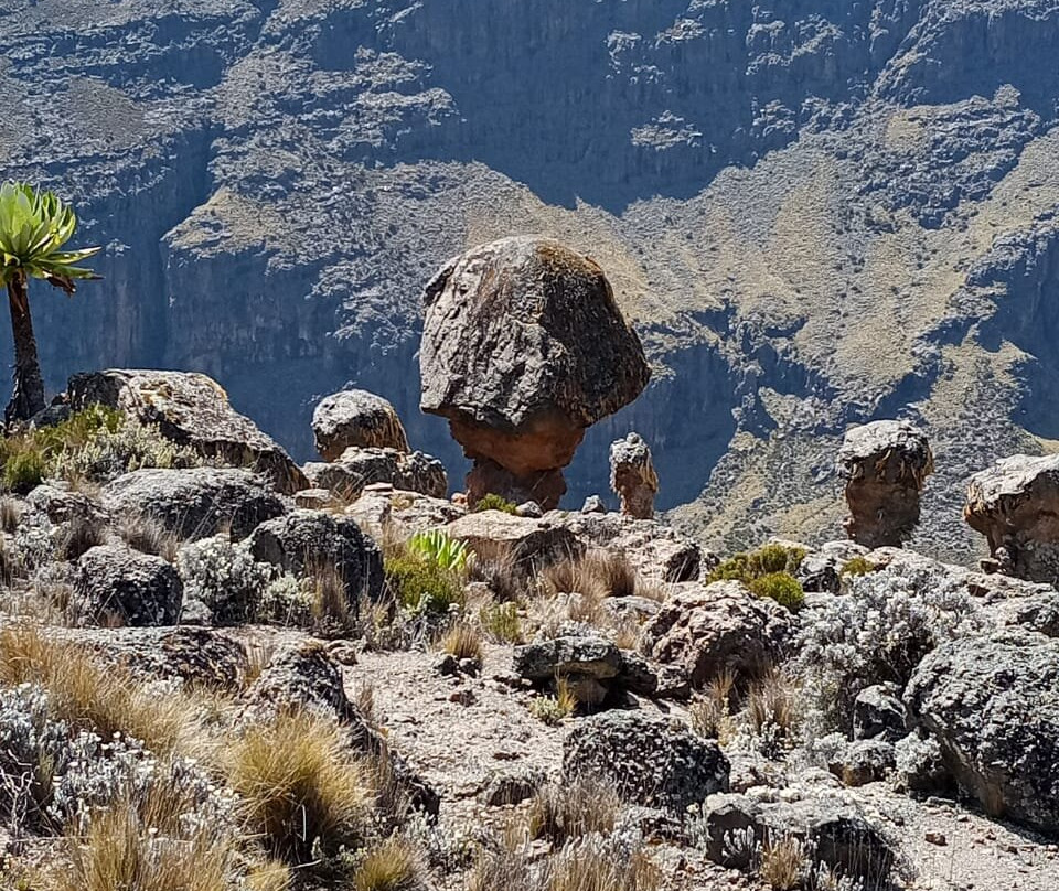 Jose Safaris & Adventures-南由基必去景点