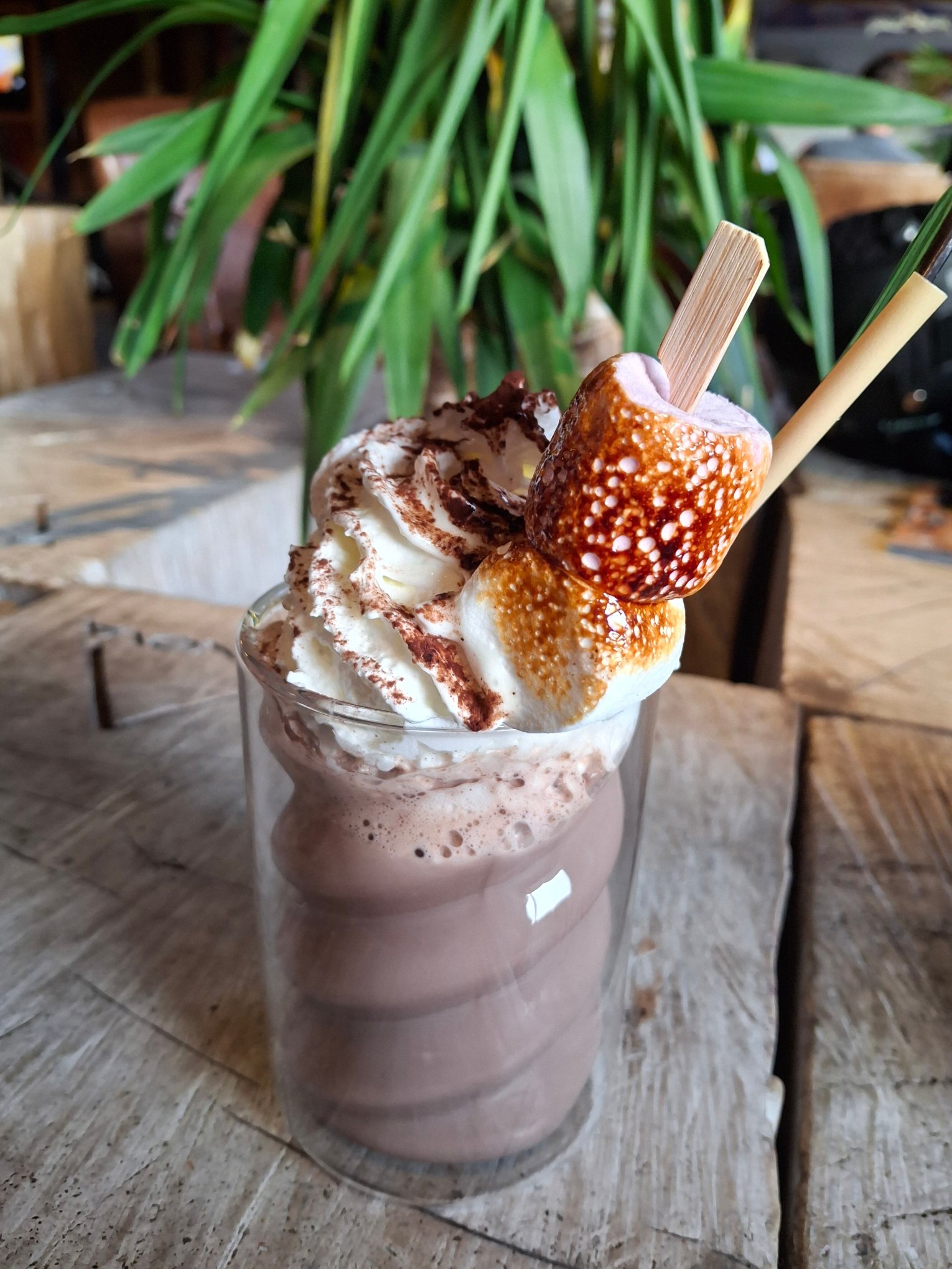 Anova Hotel & Spa-官方