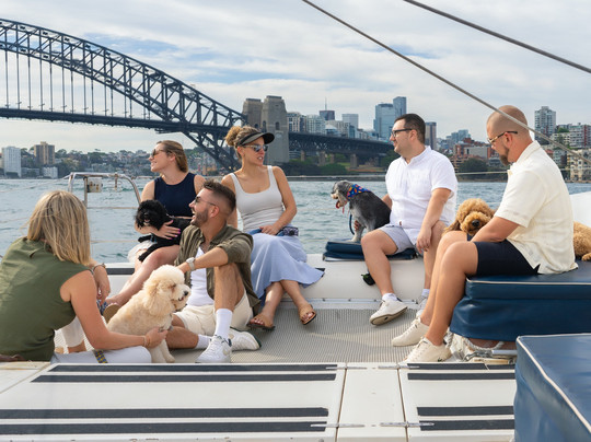 Sea Sydney Harbour-悉尼必去景点