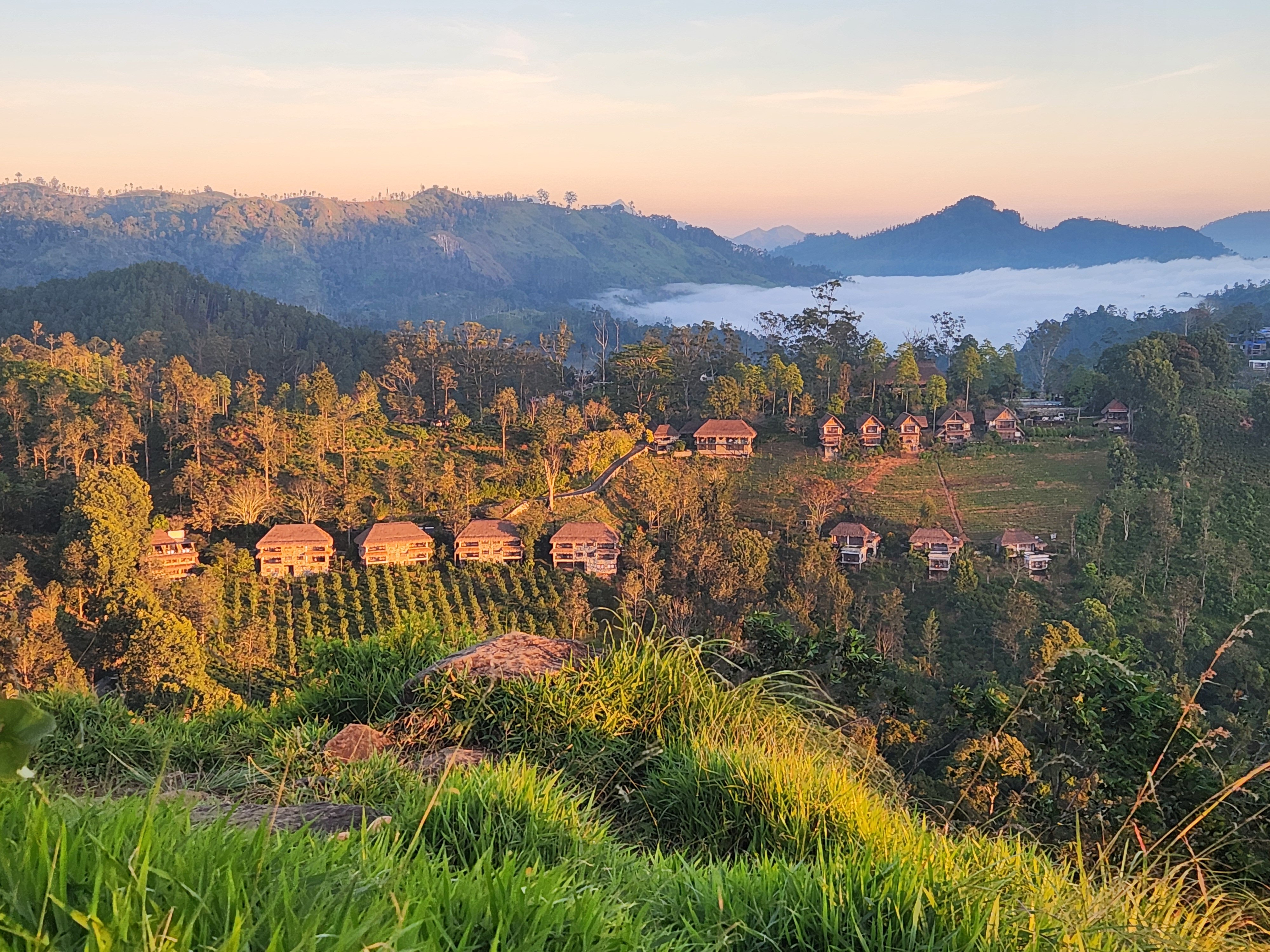 98英亩度假村-官方