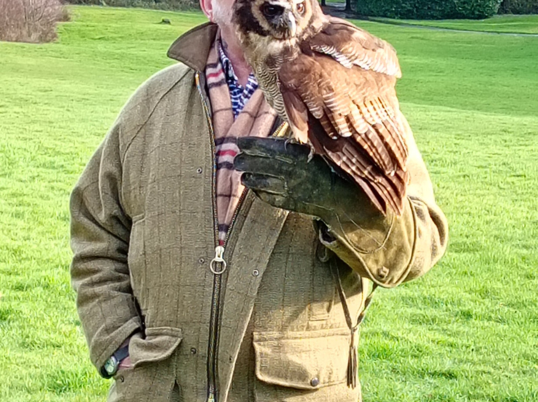 Robin Hill Adventure Park-纽波特必去景点