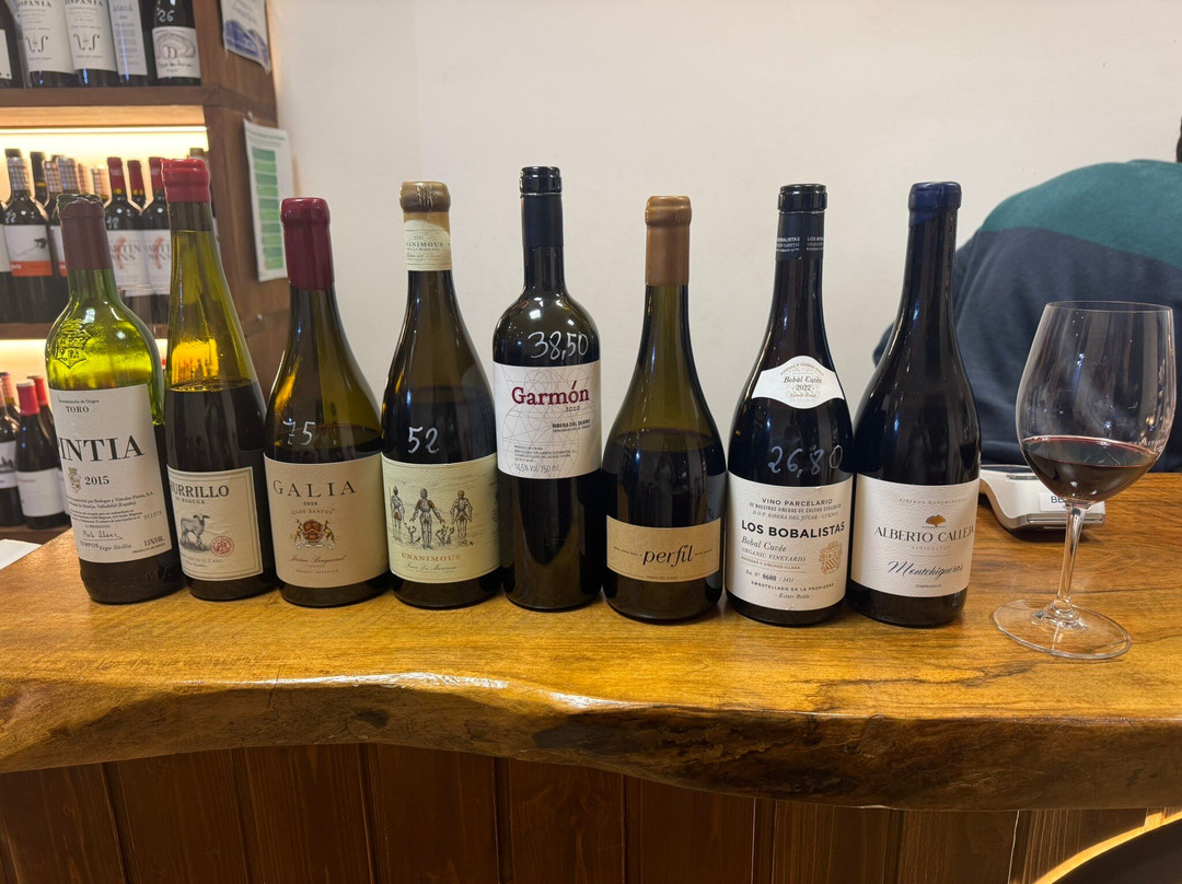 Don Carlos Bodega Historica-杜罗河畔阿兰达必去景点