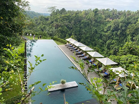 阿丽拉 乌布 . 巴厘岛主图