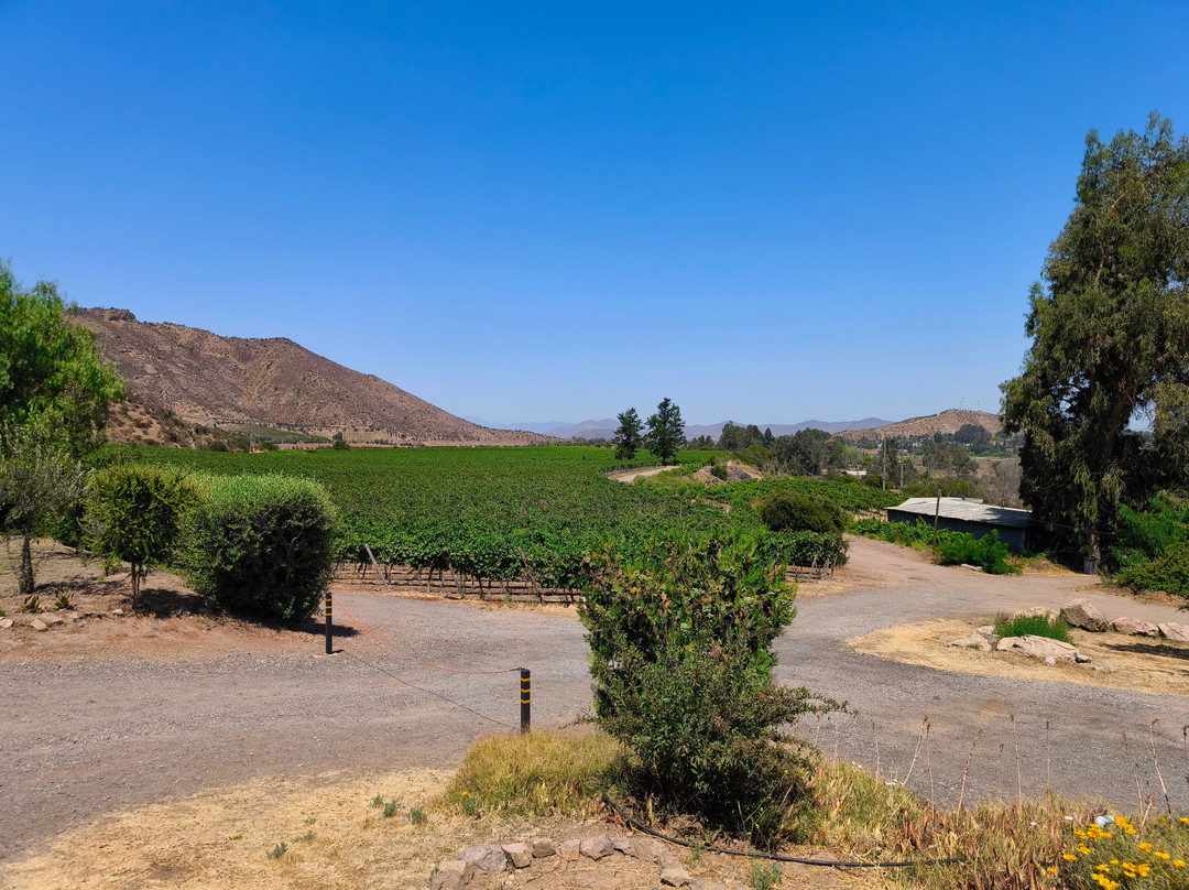 Besoain Wines-Pirque必去景点