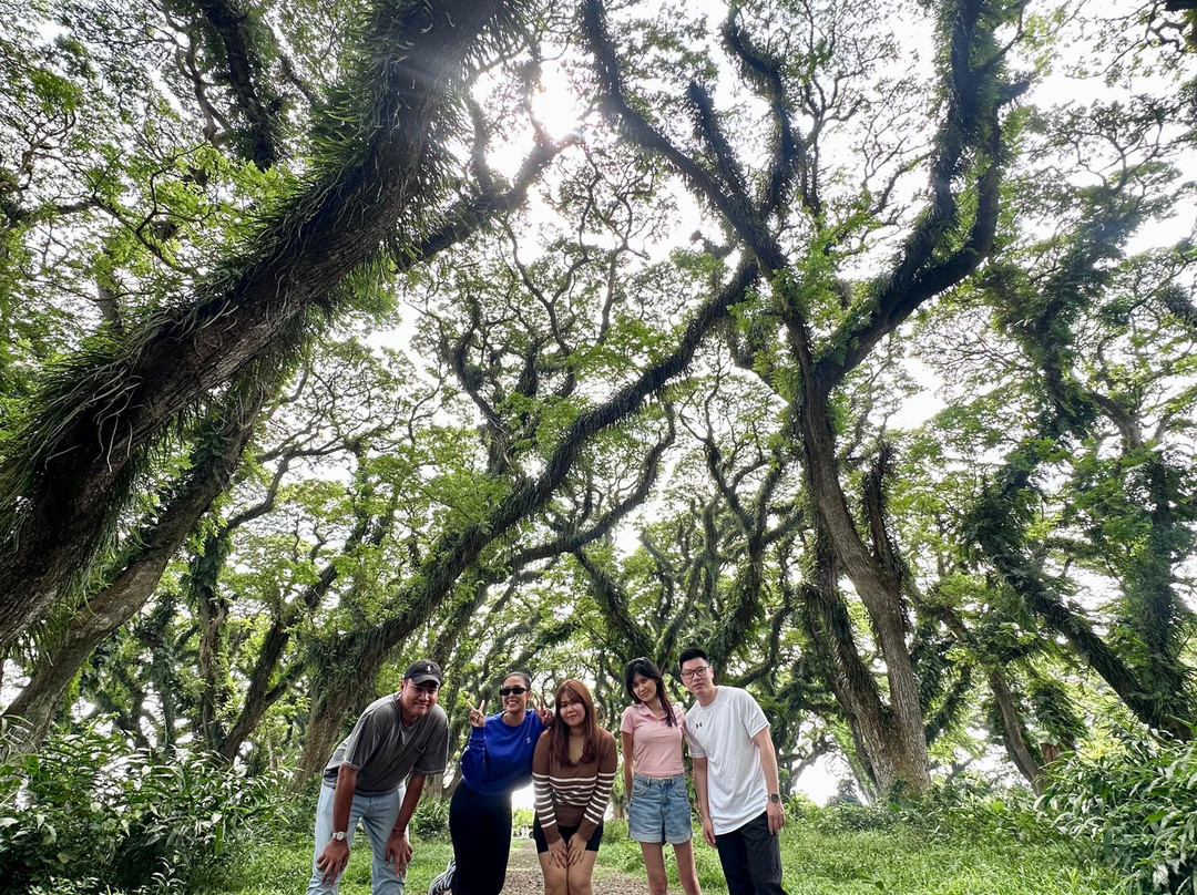 Yukbanyuwangi-巴纽旺宣必去景点