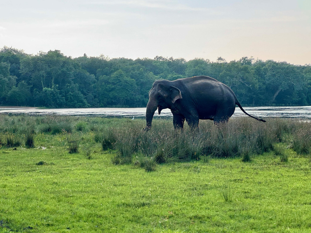 C-Lanka Tours & Travels-科伦坡必去景点