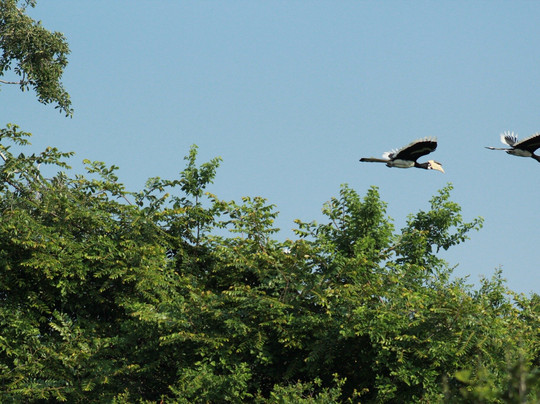 Roshan Safari-蒂瑟默哈拉默必去景点