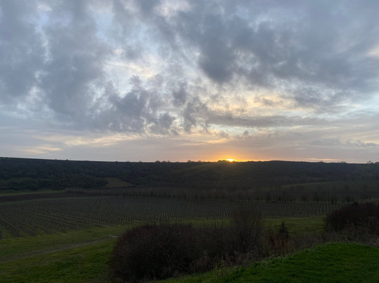 Rathfinny Wine Estate