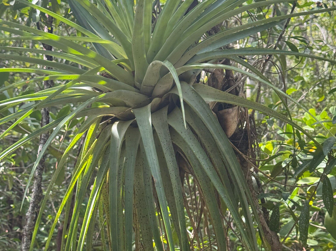 Cayman Crystal Caves-大开曼岛必去景点