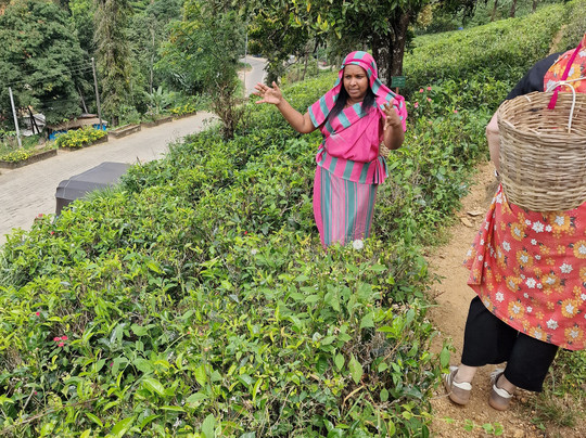 Sri Lanka Explorer-瓦都瓦必去景点