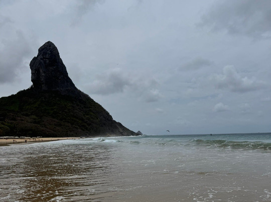 Fernando de Noronha Marine National Park-费尔南多-迪诺罗尼亚群岛必去景点