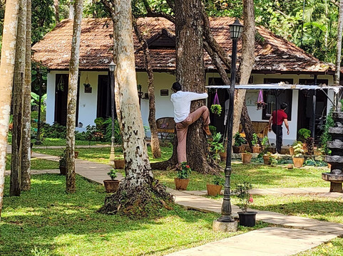 Shantitheeram Ayurveda主图