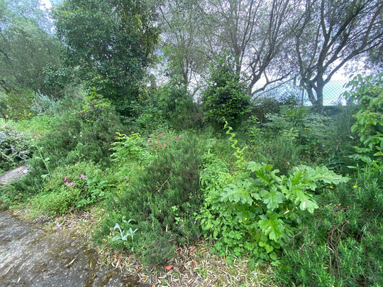 Les Jardins du MIP-Mouans-Sartoux必去景点