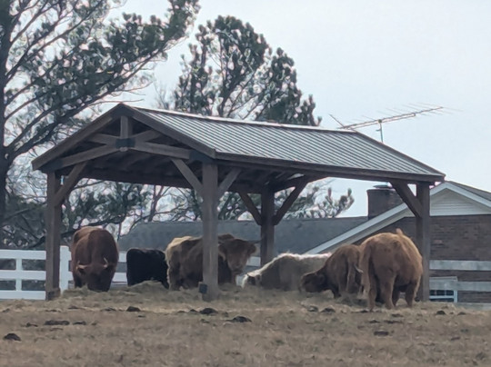 Georgia - Vich Farm-达拉斯必去景点