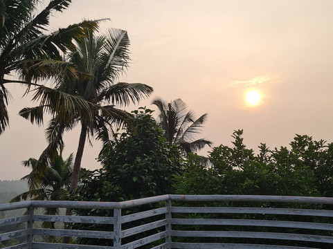 Ayurveda Healing Ashram-提卢湾安塔普兰（特里凡德伦）必去景点