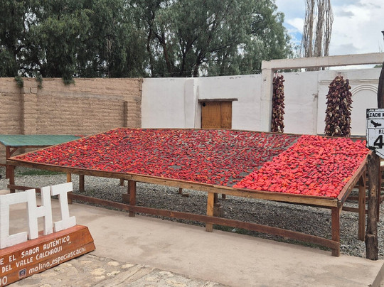 Cachi-卡奇必去景点