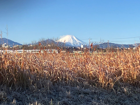 Tachikawa Park-立川市必去景点
