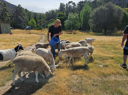 哈姆雷特丘陵地区住宿主图