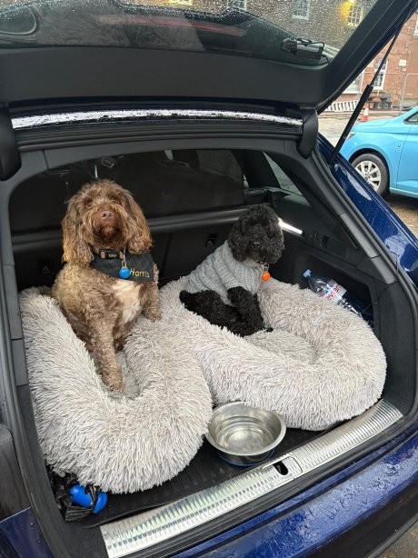 拉姆拉什海湾酒店-官方