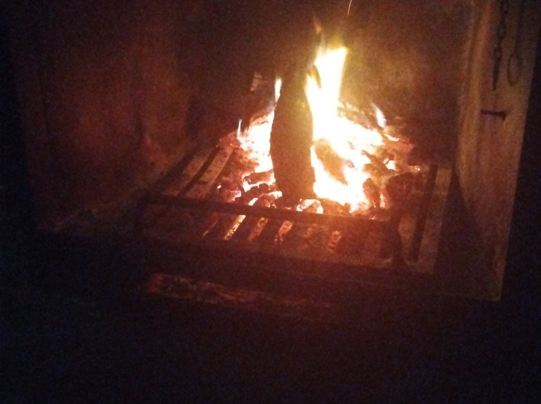 Complejo turístico Los Pinos主图