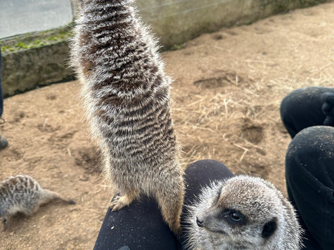 All Things Wild-Honeybourne必去景点