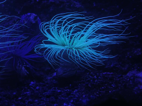 Aquarium de Biarritz-比亚里茨必去景点