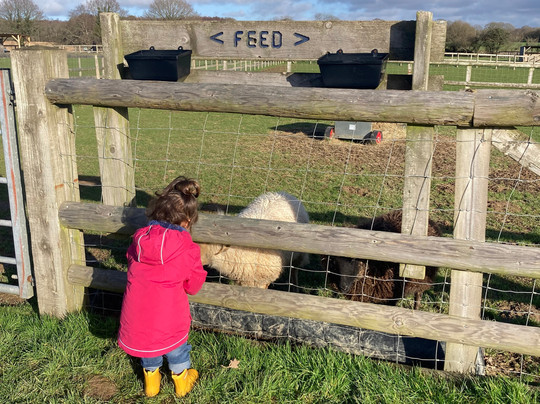 Blackberry Farm Park-刘易斯必去景点